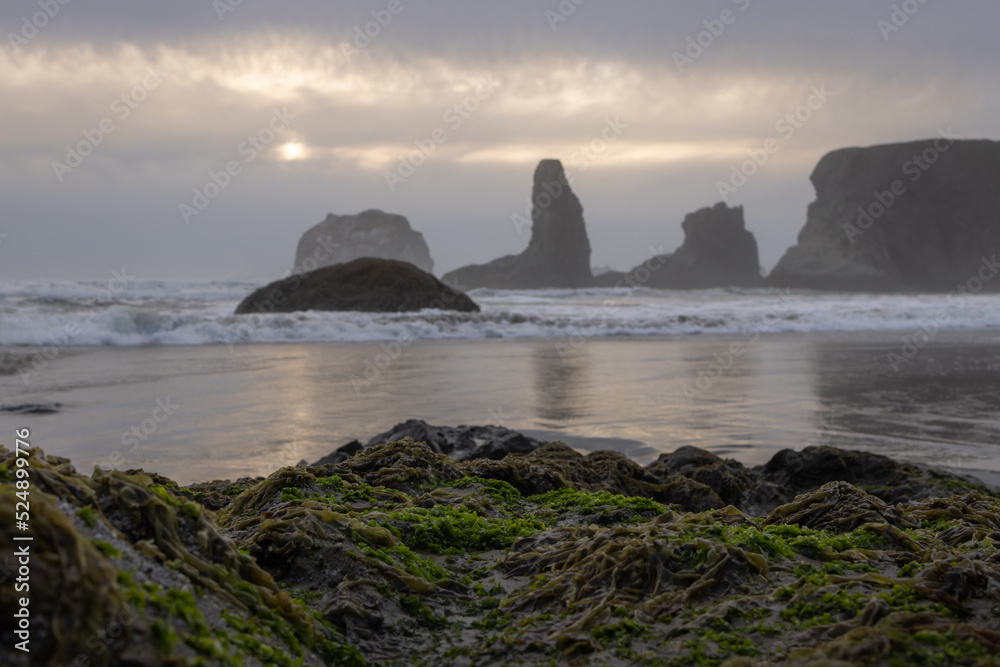 Sunset at the oregon coast on a dramatic cloudy day with reflections of the rocks in the sand