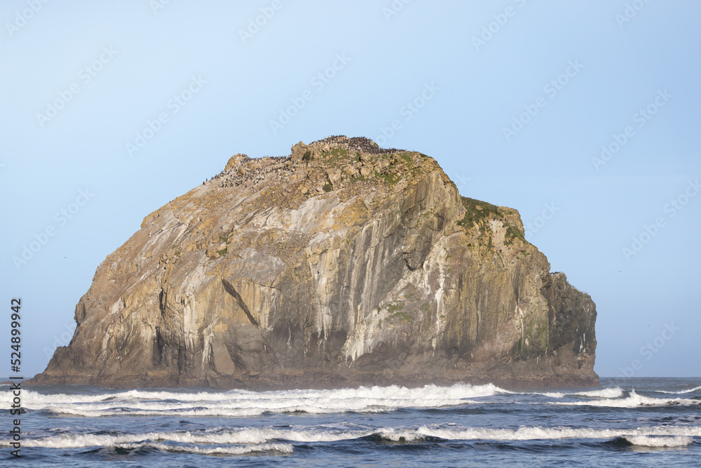 Face Rock in Bandon Oregon on the Oregon coast of the Pacific Northwest