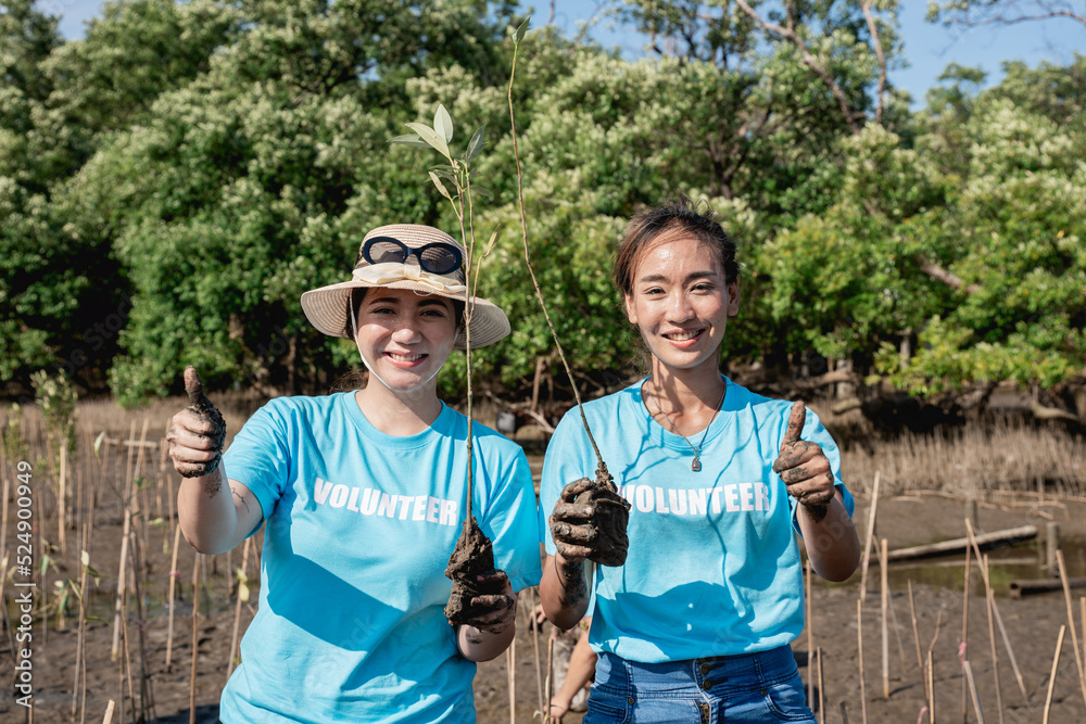 Volunteers help plant a forest to save the world in the forest park area., Environmental protection project. Volunteers help plant a forest to save the world in the forest park area., Environmental protection project.
