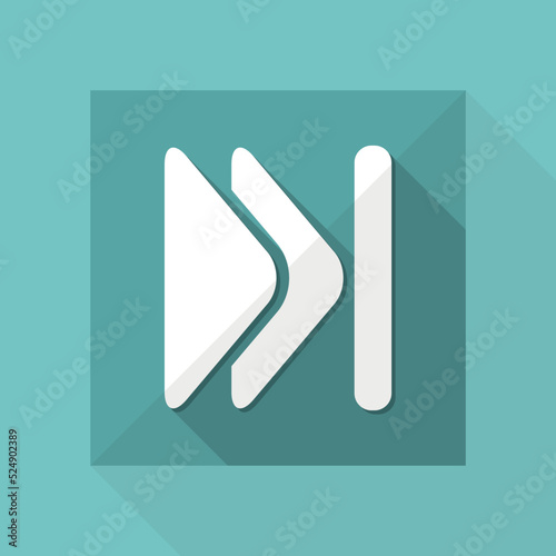 Vector illustration of single isolated skip icon