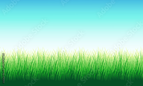 Green grass against the blue sky. For packaging design, background for website banners. Vector illustration.