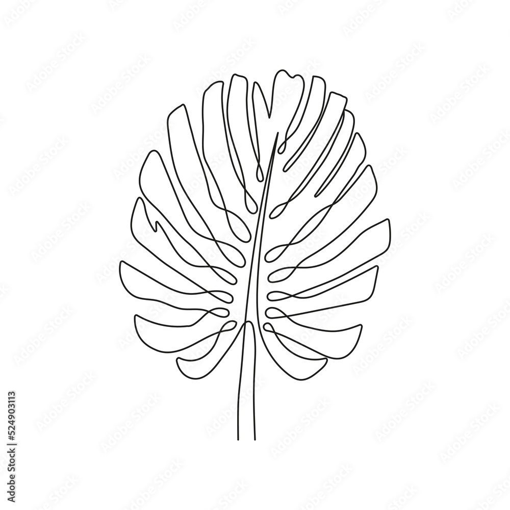 Monstera leaf drawn with one continuous line. Tropical palm leaf of