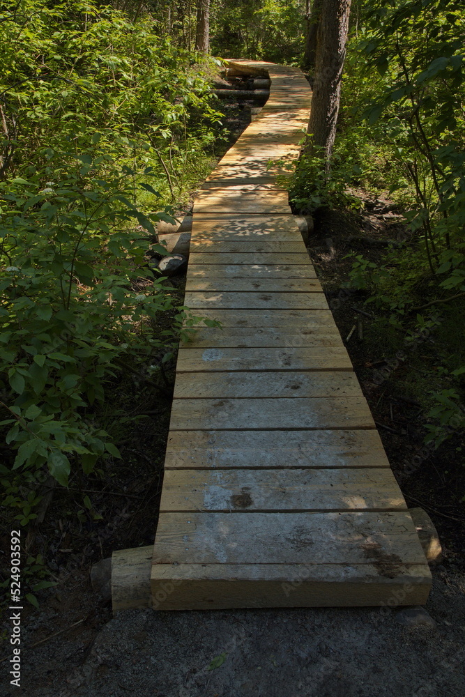 Boardwalk on hiking trail to Lower Bugaboo Falls at Brisco in British Columbia,Canada,North America
Boardwalk on hiking trail to Lower Bugaboo Falls at Brisco in British Columbia,Canada,North America