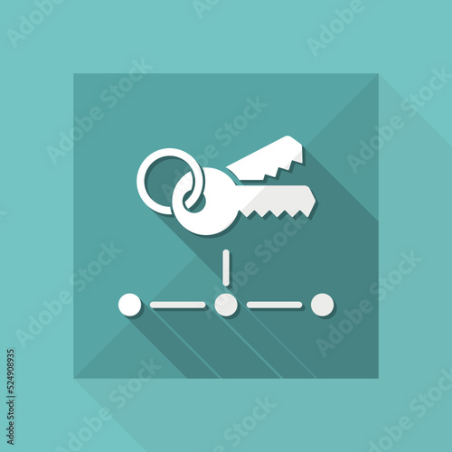 Network key access - Flat minimal icon