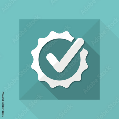 Approval check - Vector flat minimal icon photo