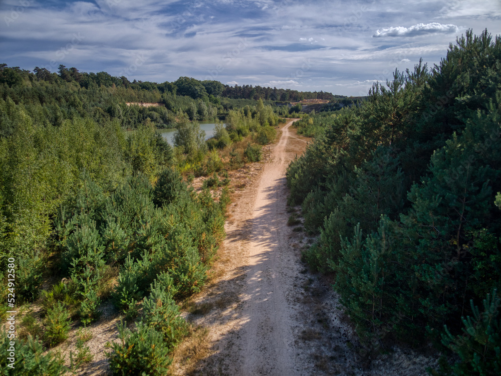 Fototapeta premium photo from a drone, path in the forest