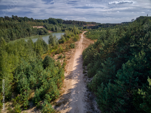 photo from a drone, path in the forest