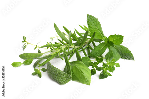 Various fresh aromatic herbs on white background