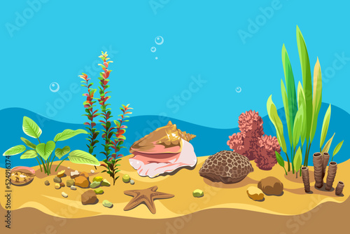Vector ocean world. Exotic seascape with seaweeds, shells and corals. Colorful background for your design. Illustration of underwater life.