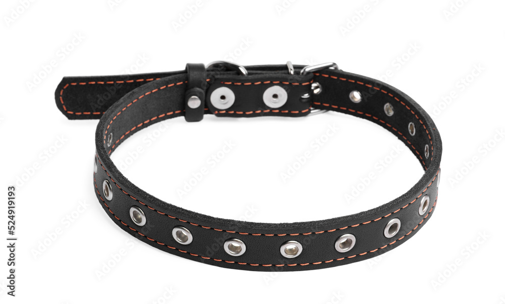 Black leather dog collar isolated on white Black leather dog collar isolated on white