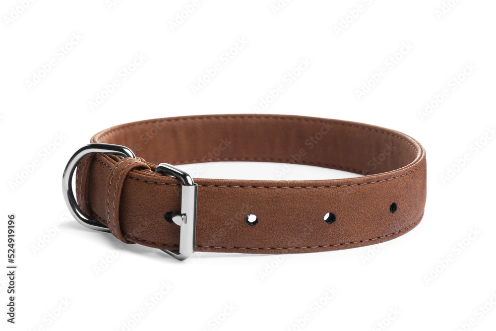 Brown leather dog collar isolated on white