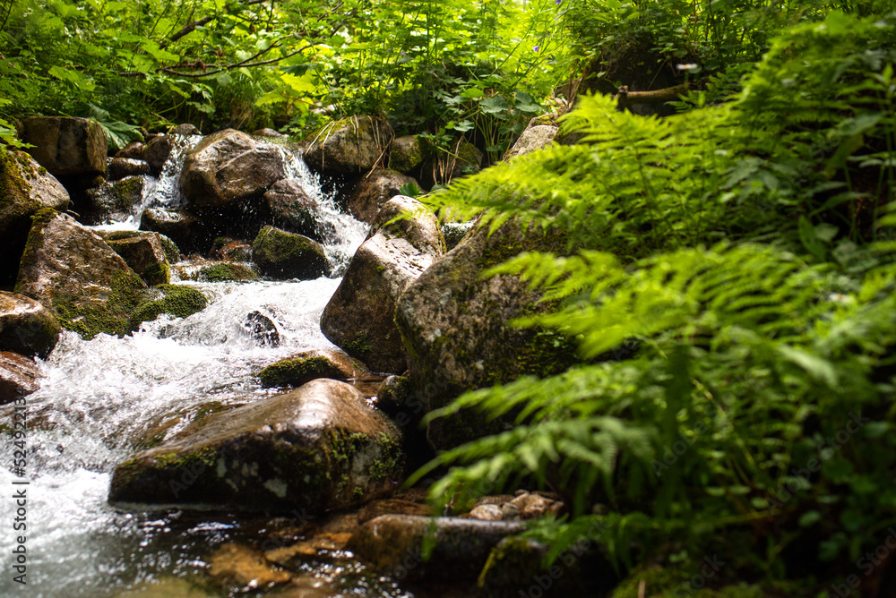 Small stream in the middle of amazing nature. Relax and free time. Small stream in the middle of amazing nature. Relax and free time.