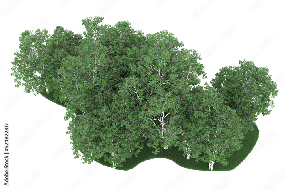 Forest on transparent background. 3d rendering - illustration Forest on transparent background. 3d rendering - illustration