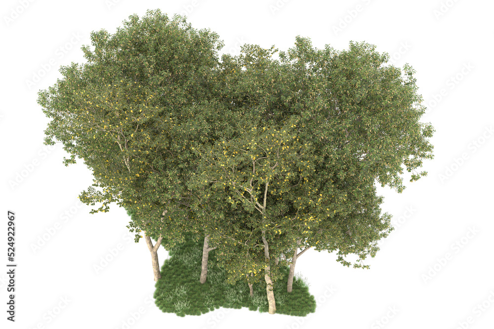 Fototapeta premium Forest on transparent background. 3d rendering - illustration