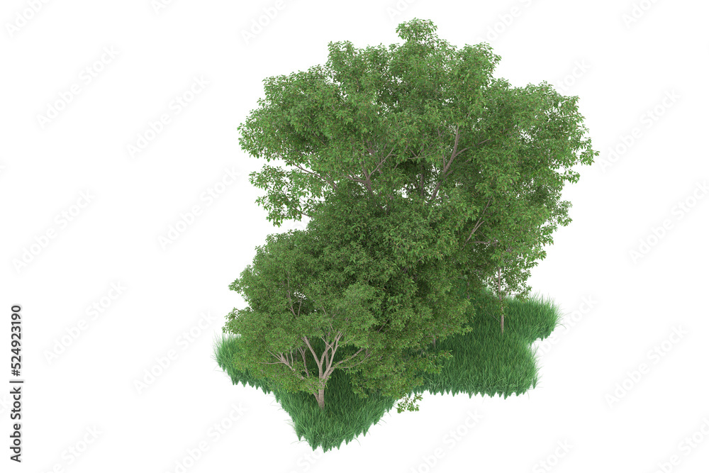 Fototapeta premium Forest on transparent background. 3d rendering - illustration