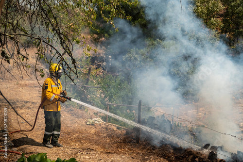 Bombeiro sapador com a mangueira a apagar um incêndio que arde e deixa uma nuvem de fumo à sua volta photo