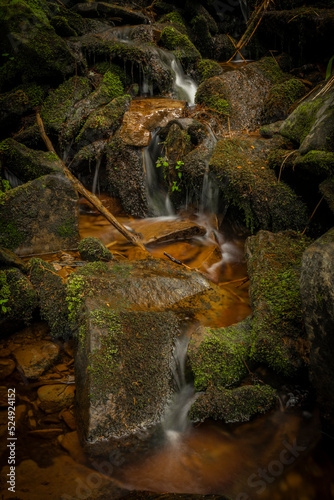 Glinna creek in national park in Poland mountains in summer day photo