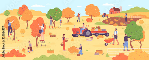 People on autumn harvesting. Farm workers picking agriculture fall harvest from garden planting tree, group people on ladder pick season fruit orchard, garish vector illustration