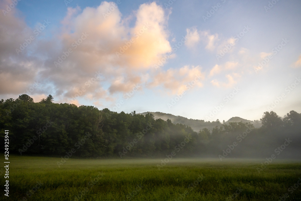 Thin Layer of Fog Over Meadow At Sunrise Thin Layer of Fog Over Meadow At Sunrise