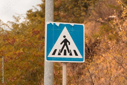 A pedestrian crossing sign against the backdrop of orange autumn foliage. A blue square sign regulating the rules of the road indicates the presence of a pedestrian crossing.