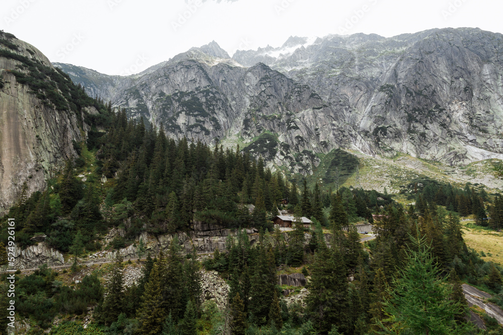 Obraz premium yosemite valley state