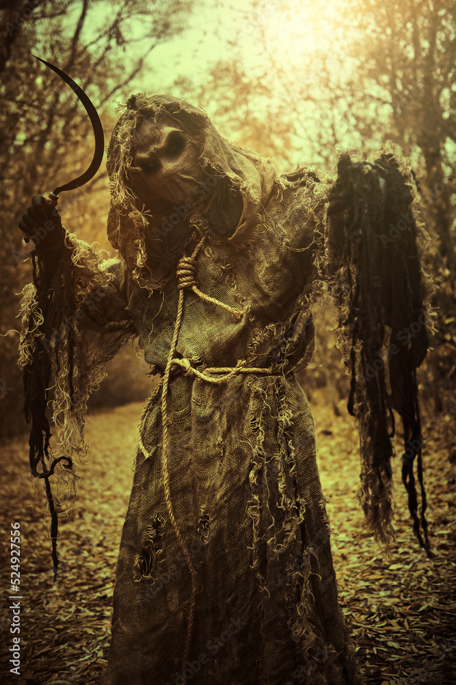 Naklejka premium dark forest horror