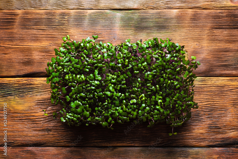 Red cabbage herb on the wooden kitchen table concept background. Red cabbage herb on the wooden kitchen table concept background.