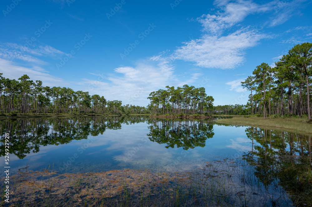 Early morning summer cloudscape over Long Pine Key in Everglades National Park, Florida reflected in calm lake water.