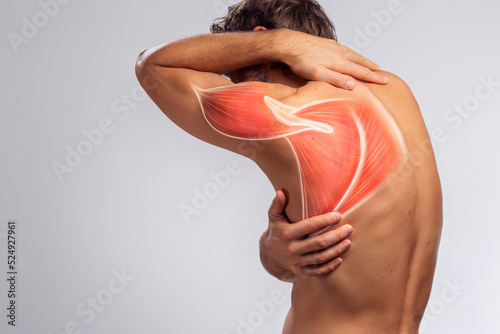 Scapula, man's shoulder pain, muscle and body anatomy. Human shoulder blade view from behind