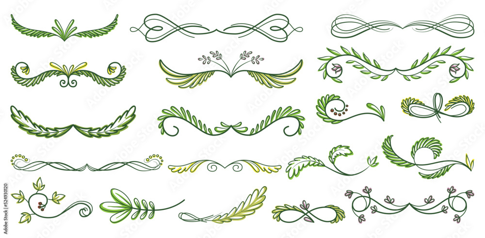 Green text dividers, page separators design set. Line borders, laurels, organic frame with plant. Floral decorative elements. Natural flourishes, curve lines vector collection isolated on white