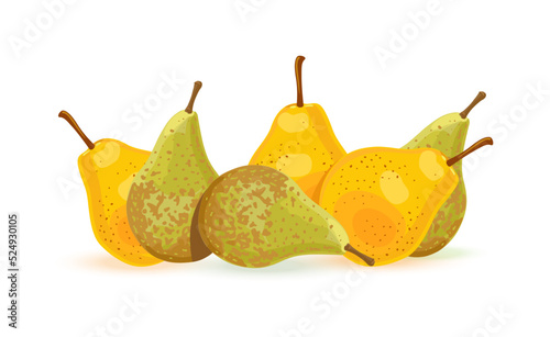 Pears, fruits. Green and yellow. Vector illustration isolated on white background.