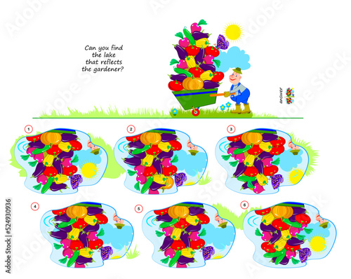 Logic puzzle game for children and adults. Can you find the lake that reflects the gardener? Page for brain teaser book. Developing kids spatial thinking. Task for attentiveness. Vector illustration.