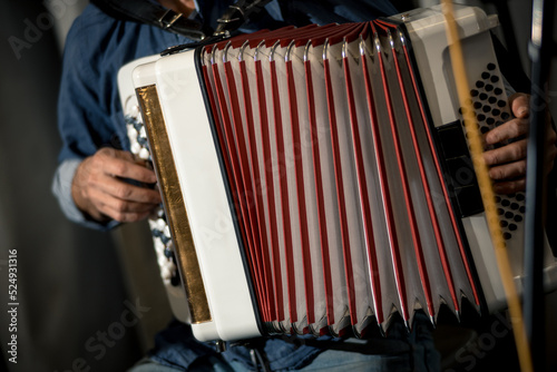 accordion player close-up playing the white button accordion