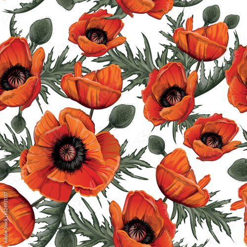 Fototapeta Naklejka Na Ścianę i Meble -  pattern of red poppies with a black center hand-drawn