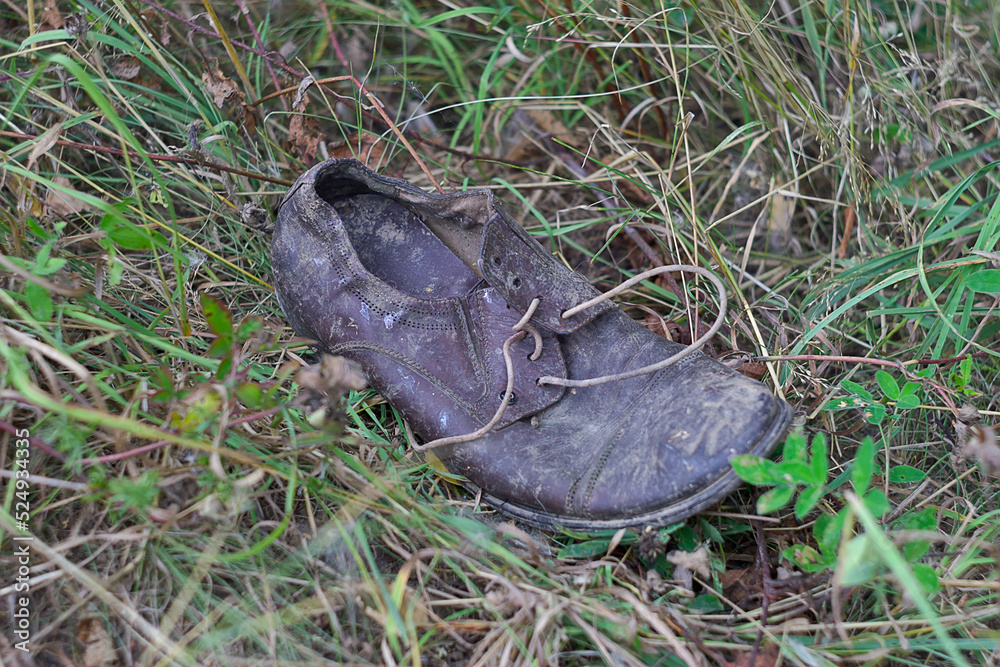 an old shoe in the rotten grass an old shoe in the rotten grass