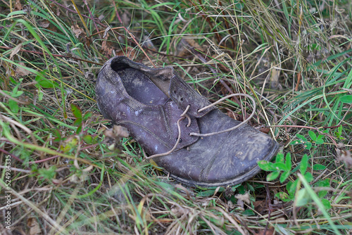 an old shoe in the rotten grass