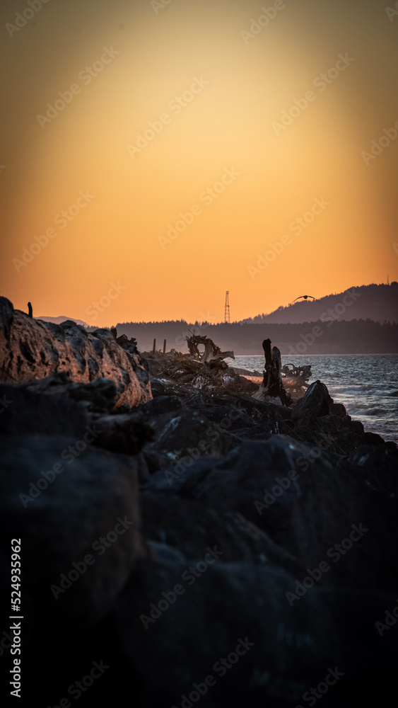 sunset on the beach