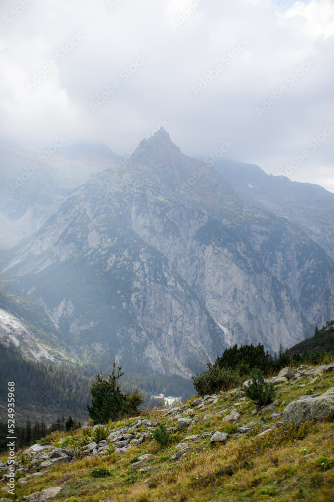 Naklejka premium landscape in the mountains