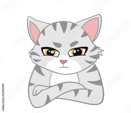 The  American Shorthair cat looking seriously emotion face and. Doodle art image.
