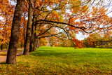 Oak alley in Catherine park in autumn, Pushkin, Saint Petersburg, Russia