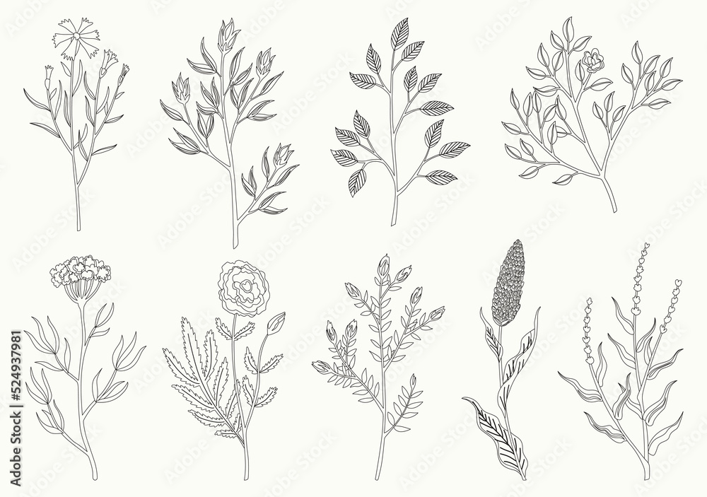 Flower and leaves set. Different floral elements in sketch style. Vector composition for designing greeting cards or invitations Flower and leaves set. Different floral elements in sketch style. Vector composition for designing greeting cards or invitations
