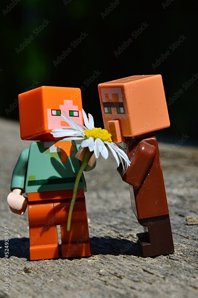 Fototapeta premium LEGO Minecraft figures of villager mob and Alex smelling yellow and white daisy flower (latin name Bellis Perennis) on wooden plank in garden, dark background daylight sunshine.