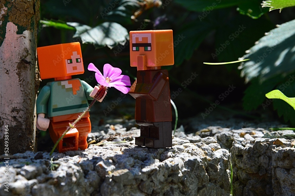 Obraz premium LEGO Minecraft figure of Alex giving pink chalice shaped flower to villager mob while standing on stone murral in real garden, summer daylight sunshine. 