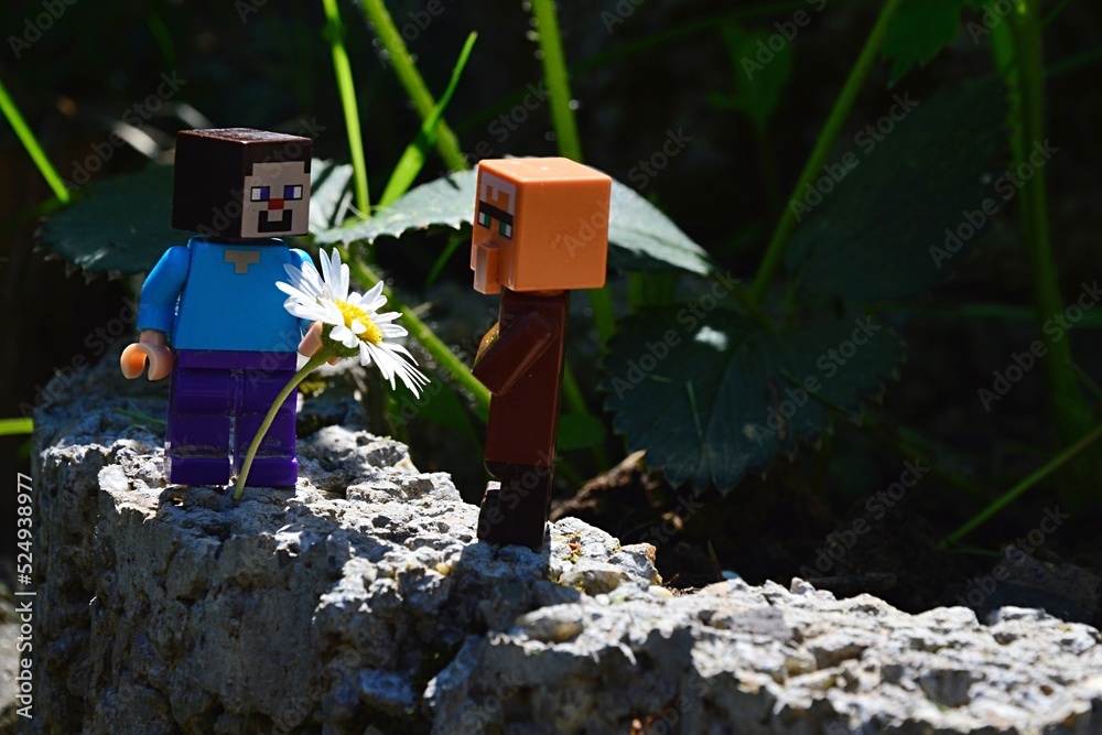 Fototapeta premium LEGO Minecraft figure of Steve in blue shirt giving daisy flower (latin name Bellis Perennis) in full blossom to villager mob, while standing on stony wall next to strawberry plants, summer daylight.