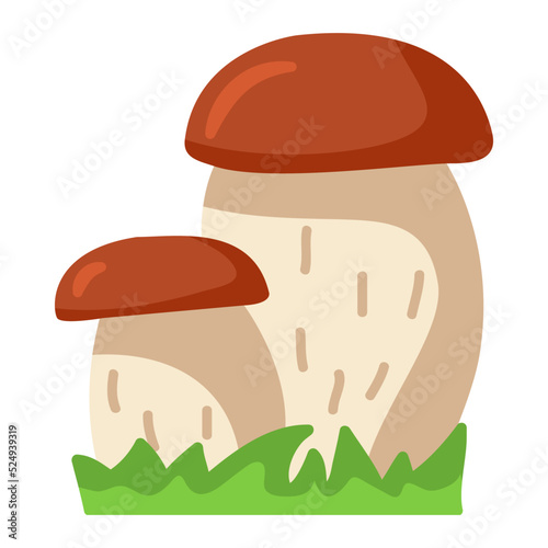 Mushrooms boletus. Porcini mushrooms. Cute cartoon style.Vector flat illustration. Isolated on white background.