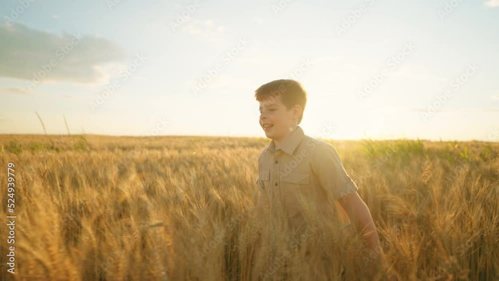 happy little boy is running alone in golden wheat fields in sunset time, portrait of joyful child, slow motion happy little boy is running alone in golden wheat fields in sunset time, portrait of joyful child, slow motion