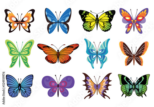 Collection of color butterfly. Hand drawn moth wings or insects. Tropical animals. Isolated vector icons set