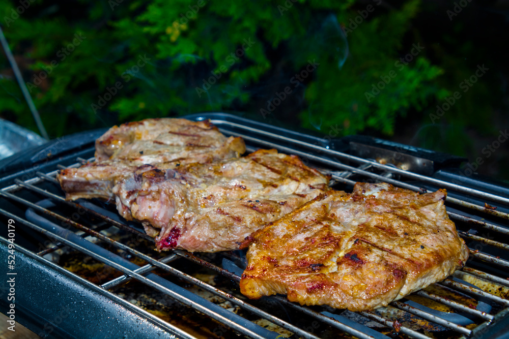 Baking grilled pork meat in the garden Baking grilled pork meat in the garden