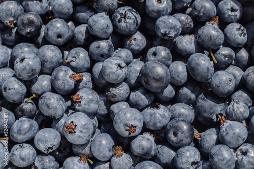 Top view of fresh great bilberry background. Fresh blueberries, healthy food, diet 