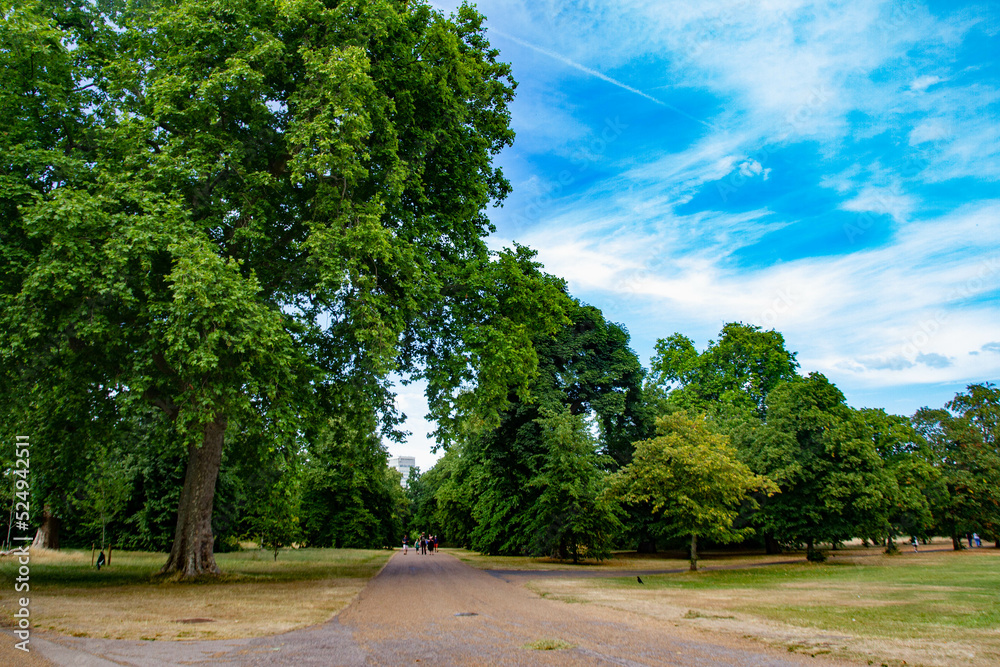 Road in London Hyde Park, summer -2022